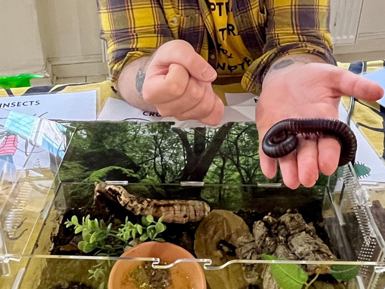 Salem Public Schools Grade 2 Habitat Fair